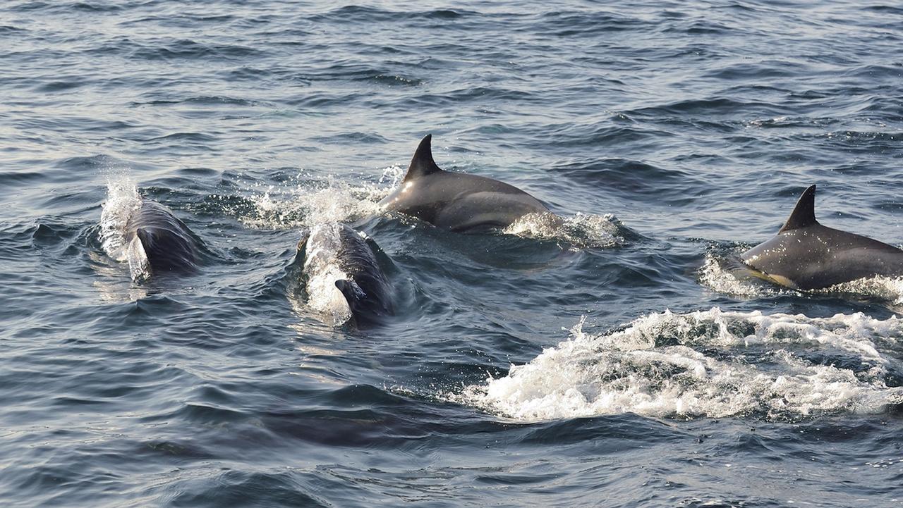 Cois Na Sionna Hotel Killimer Kültér fotó